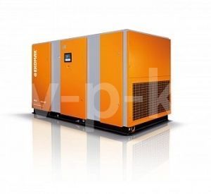 Винтовой компрессор Ekomak EKO 160CD VST 7 фото