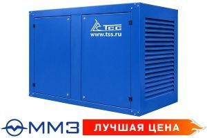 Дизельный генератор ТСС АД-80С-Т400-2РПМ1 Дизельный генератор ТСС АД-80С-Т400-2РПМ1
