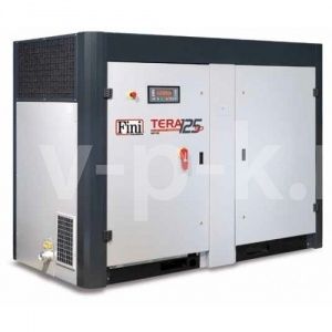 Винтовой компрессор Fini TERA SD 22008 фото