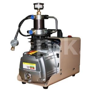 Поршневой компрессор Frosp КВД PCP Mini 2 фото