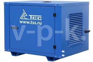 Бензиновый генератор ТСС SGG 9000E3LU в погодозащитном кожухе  Бензиновый генератор ТСС SGG 9000E3LU в погодозащитном кожухе  фото