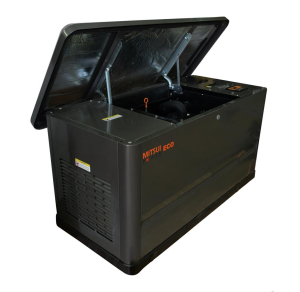 Газовый генератор Mitsui GM 16000 фото