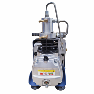 Поршневой компрессор Frosp КВД PCP 30 фото