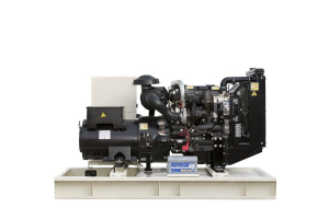 Дизельный генератор TEKSAN TJ110PE5C  Дизельный генератор TEKSAN TJ110PE5C  фото